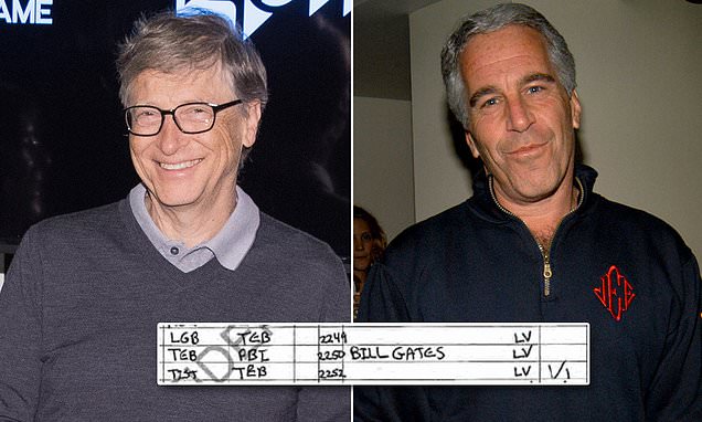 Bill Gates flew with Jeffrey Epstein on the Lolita Express in 2013 | Daily Mail Online