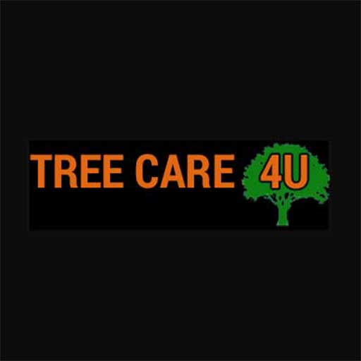 TreeCare4U | Tree Surgeon in Beds, Bucks, Herts and Cambs