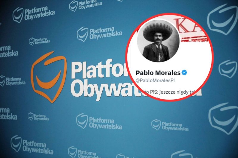 Internetowy hejter Pablo Morales finansowany przez PO - NewsInsider
