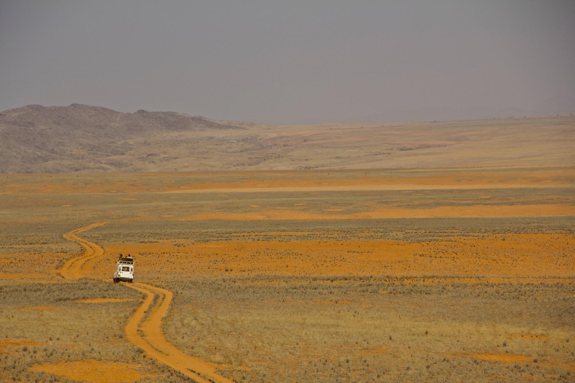 Safaris - Anderson Expeditions