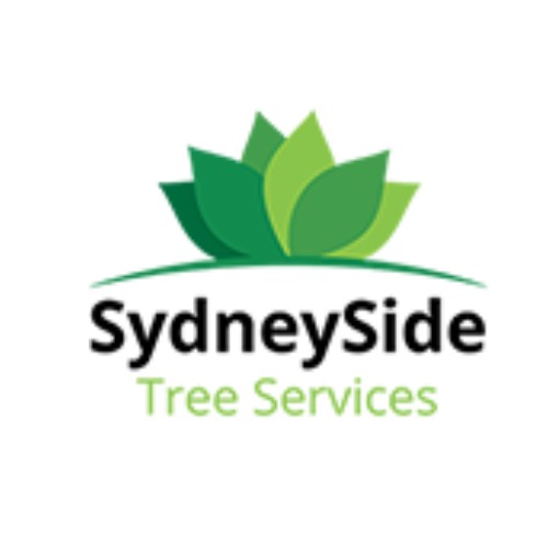 sydneysidetree Profile Picture