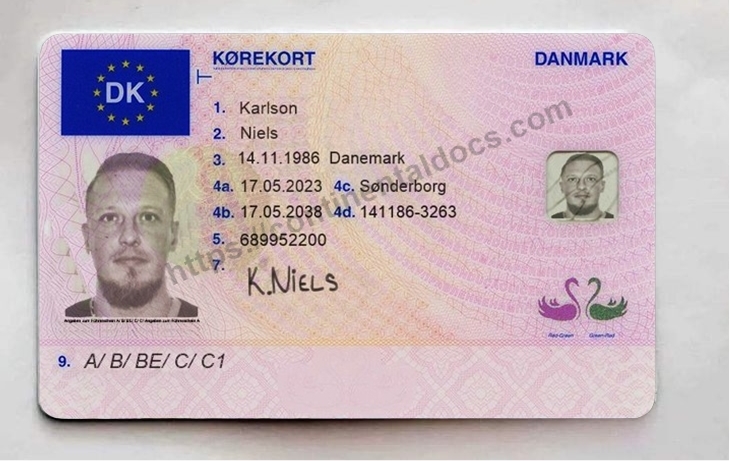 Danish Driving License | Continental Documents Online