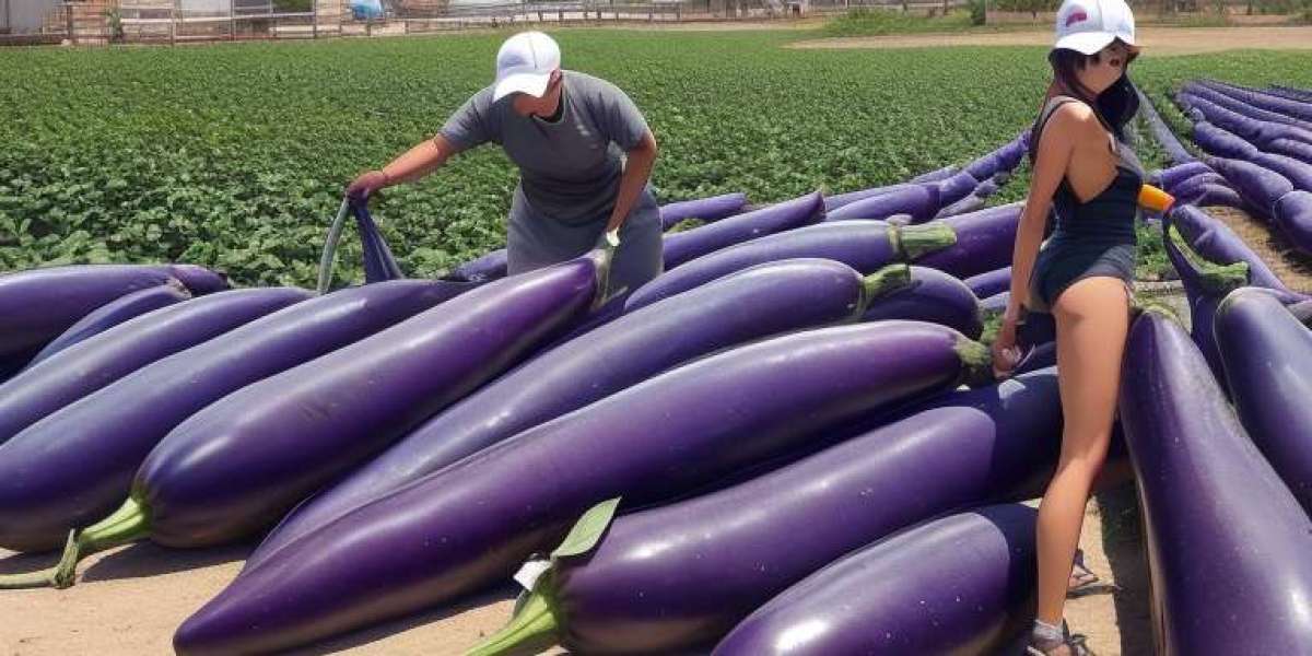 Comprehensive Approach to Setting Up a Eggplant Processing Plant | IMARC Group Report