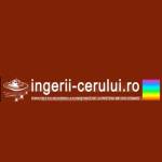 ingerii cerului profile picture