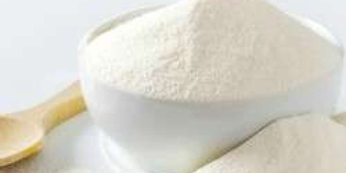 Setting Up a Successful Soymilk Powder Manufacturing Plant Cost Report 2024: Business Plan