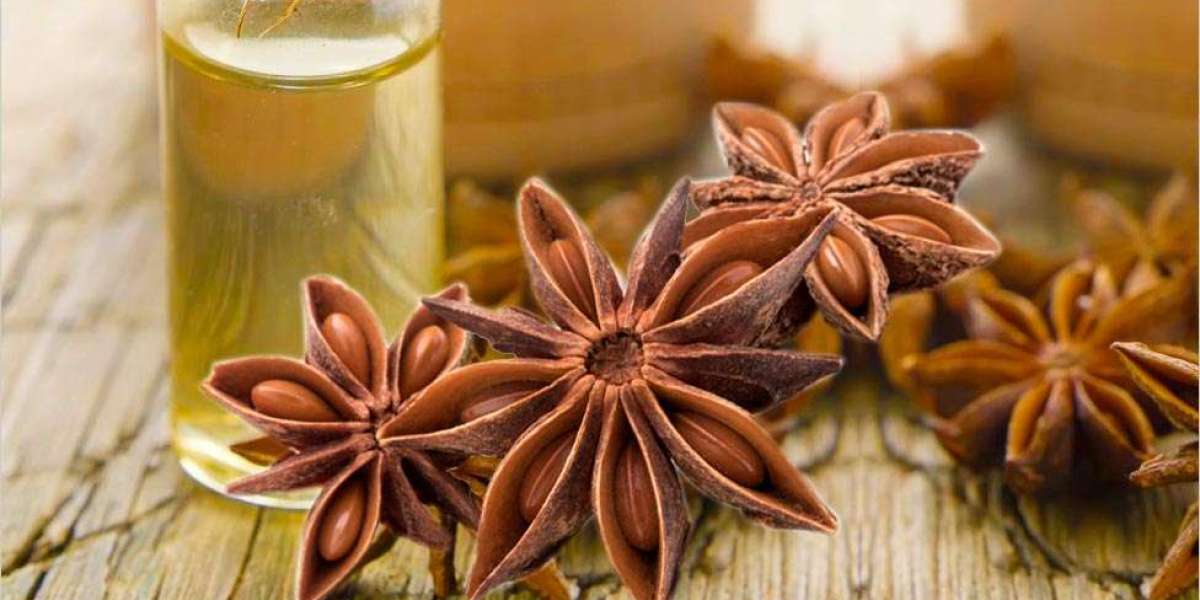 Prefeasibility Report on a Star Anise Oil Processing Plant Setup Report by IMARC Group