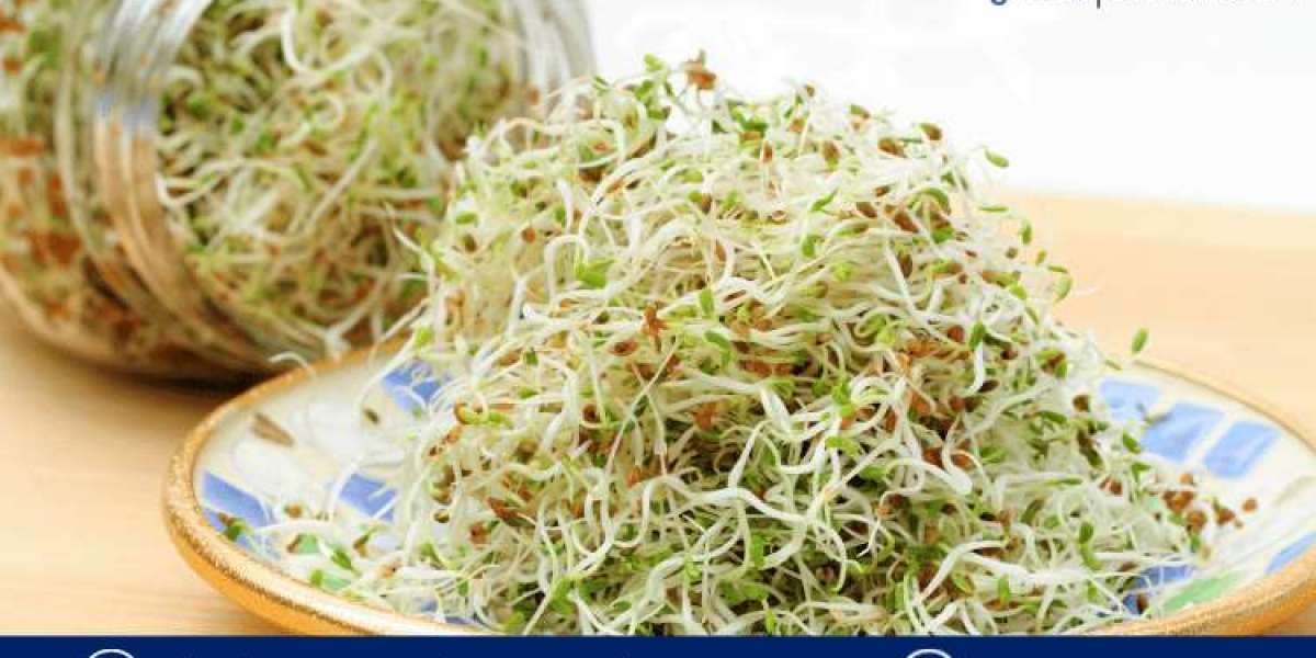 United States Alfalfa Market Analysis: Growth Projections and Trends (2024-2032)