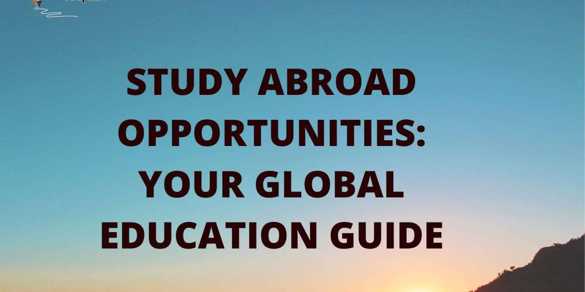 Study Abroad Opportunities: Your Global Education Guide