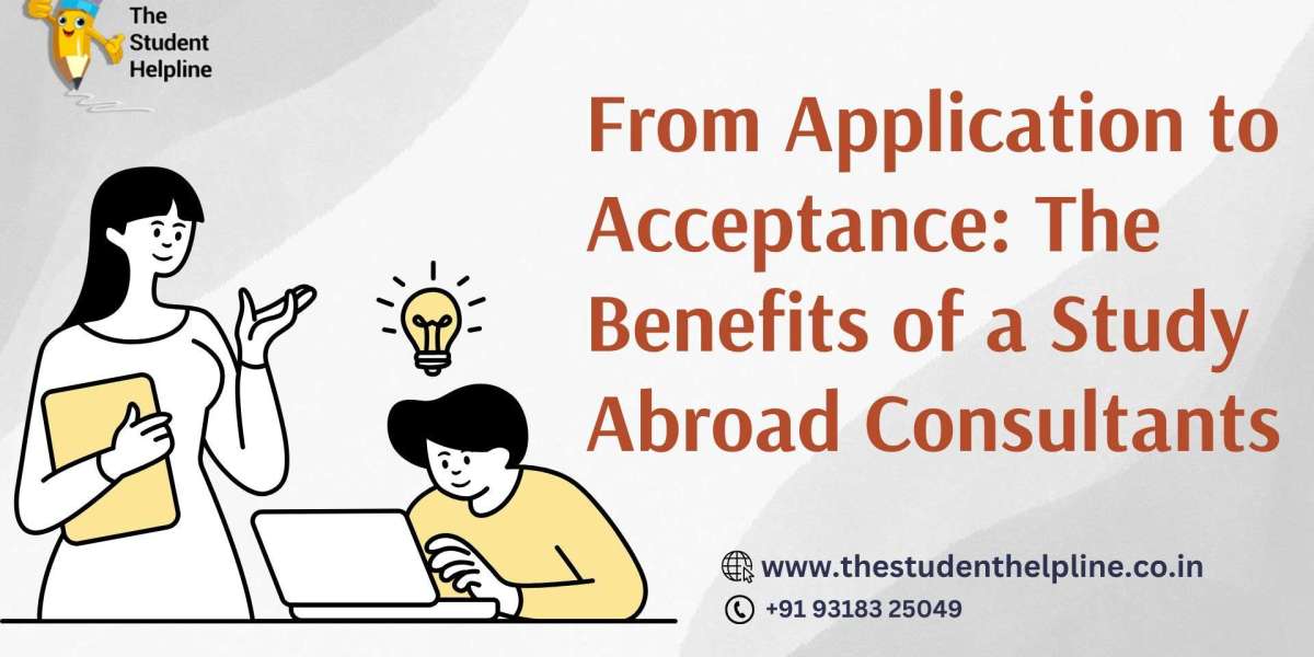 From Application to Acceptance: The Benefits of a Study Abroad Consultants