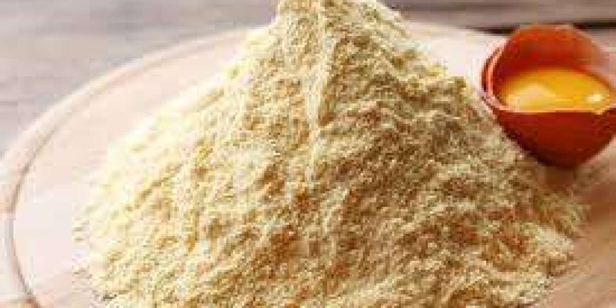 Egg Powder Market Analysis Size And Forecast Report 2024-2030