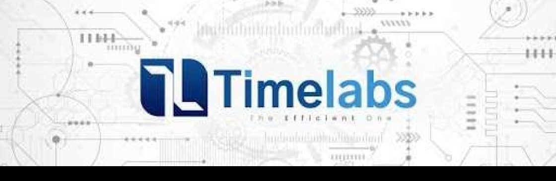 Timelabs HR Software Cover Image