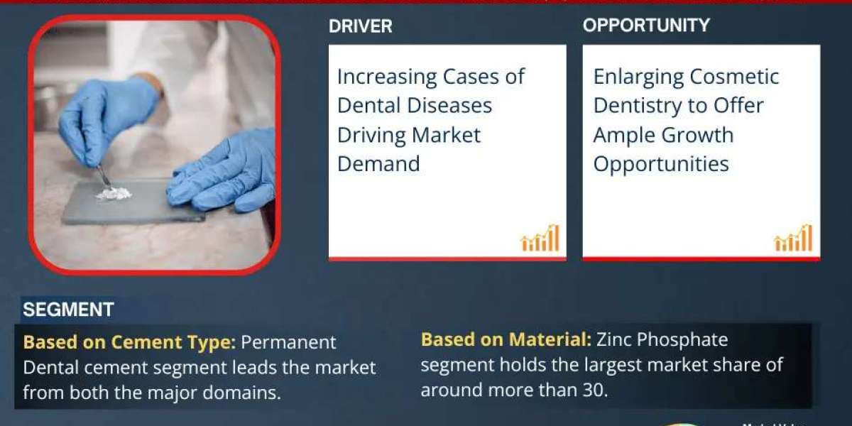 Dental Cement Market 2025-2030, Size, Share, Growth, Report and Forecast