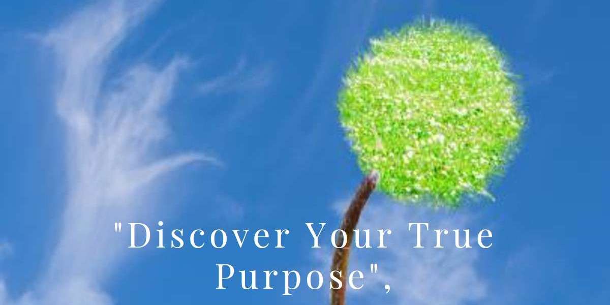 How Holistic Life Coaching Helps You Find Your True Purpose and Direction in Life