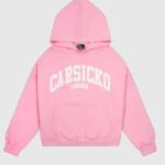 carsicko hoodie Profile Picture