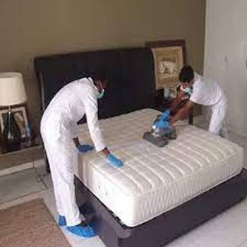 The Art of Mattress Cleaning Services and the Magic of Moving House Cleaners – Tricitycleaners