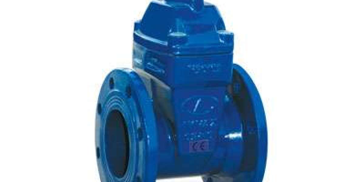 What is the Most Commonly Used Gate Valve?