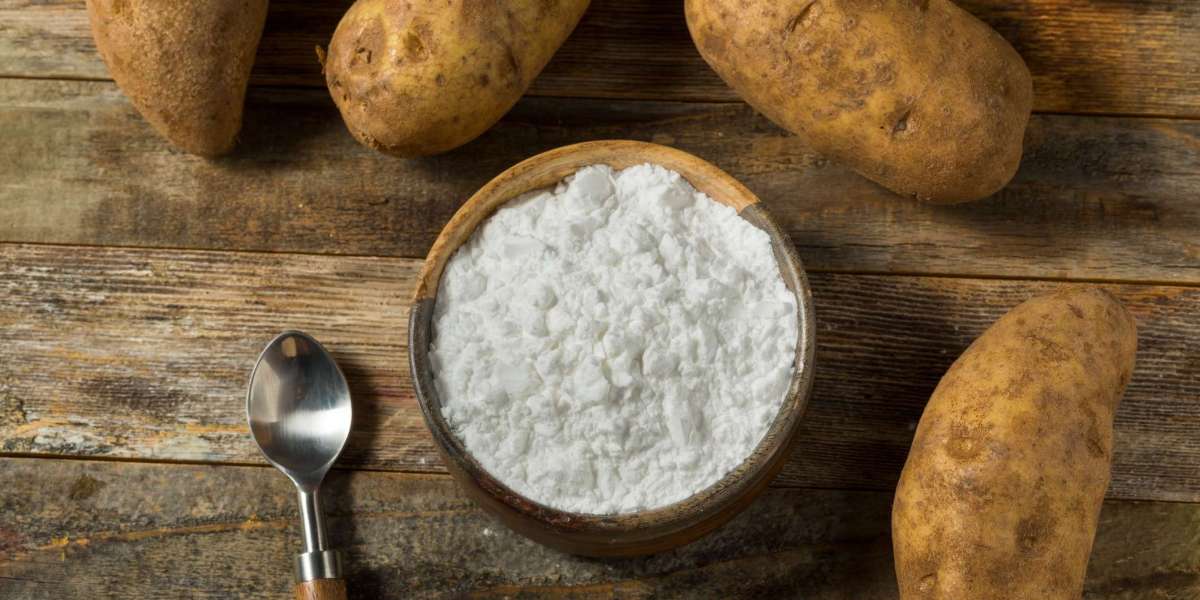 Establish a Profitable Potato Starch Manufacturing Plant