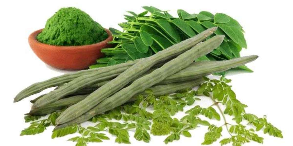 Detailed Project Report on Moringa Processing Plant: Business Plan and Requirements