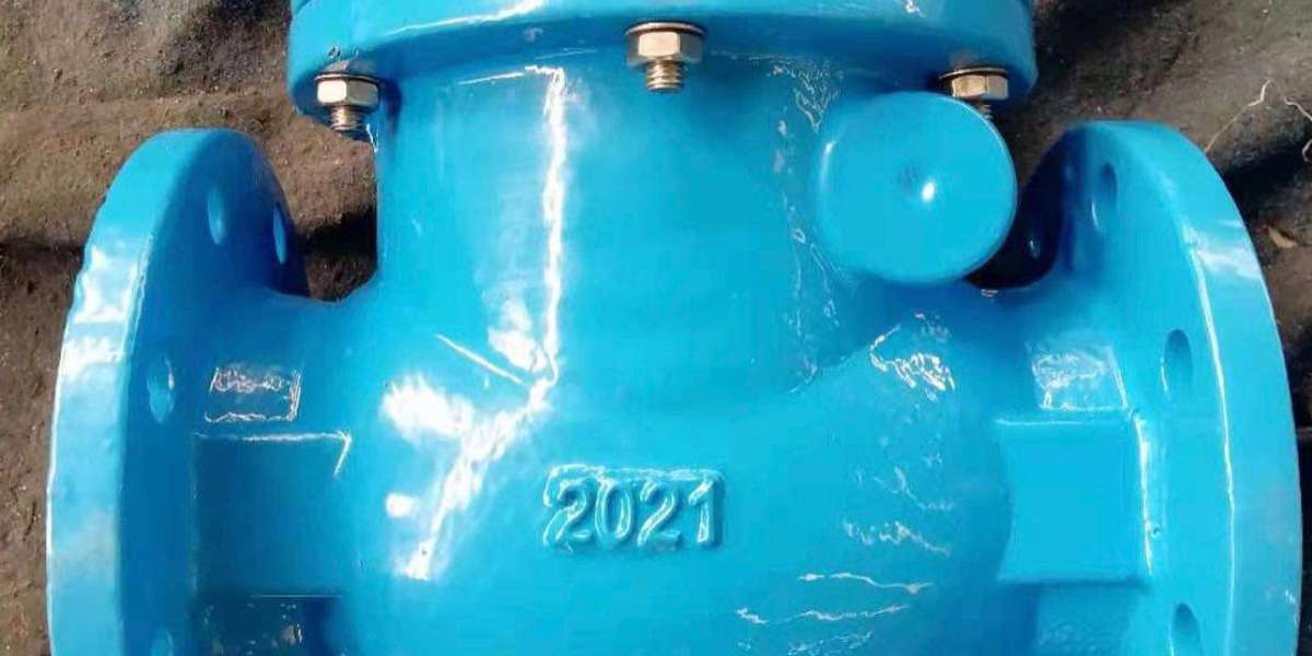 Check Valve Suppliers in UAE