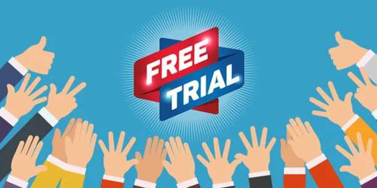 Are You Struggling With Free Trial Seo Services? Let's Chat