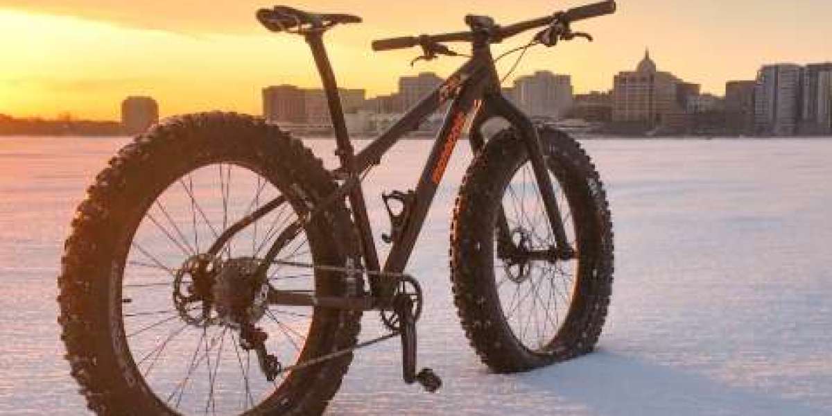 Why a Mountain Bike Fat Tire E-Bike is the Best Choice for Adventure Enthusiasts