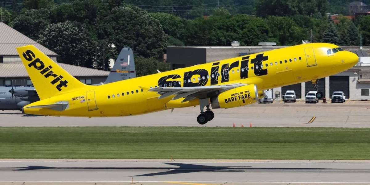 Spirit Airlines Chicago Office in Illinois: Everything You Need to Know