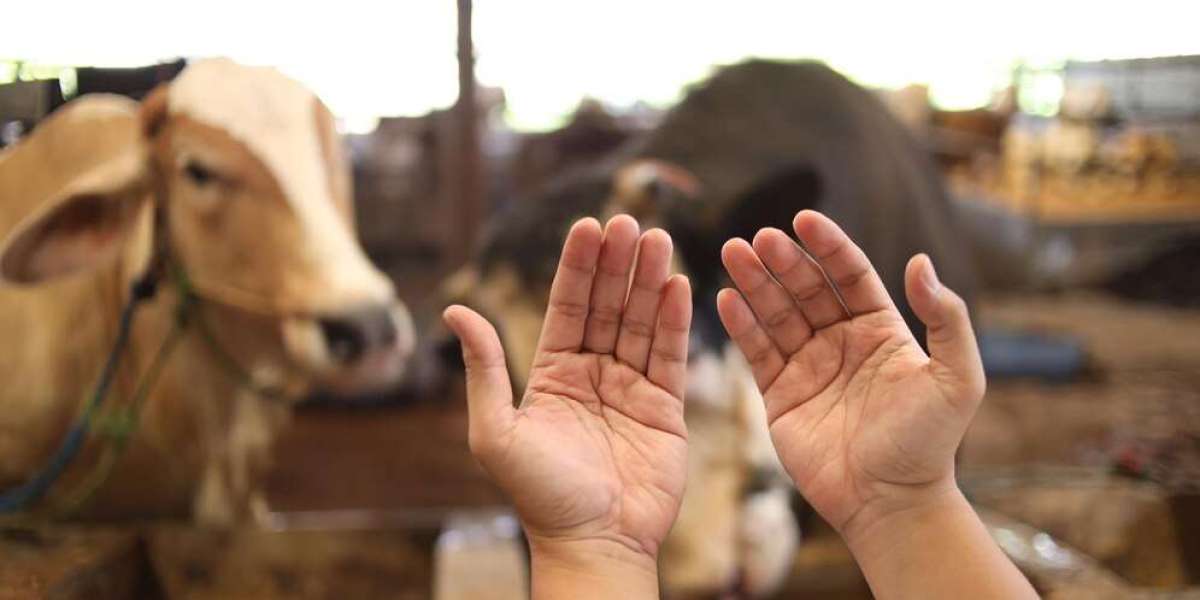 Donate Qurbani Online: Make Your Sacrifice Count This Eid