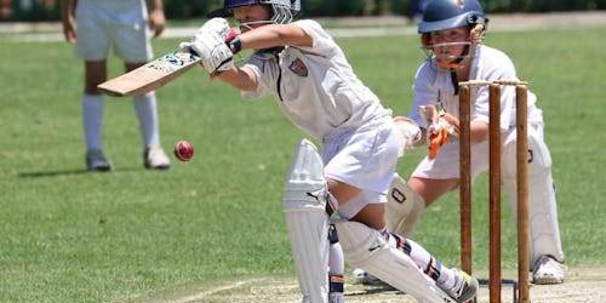 Why Every Cricket Fan Needs an Online Cricket ID: Insights into the 2025 Diamond Exchange Landscape.