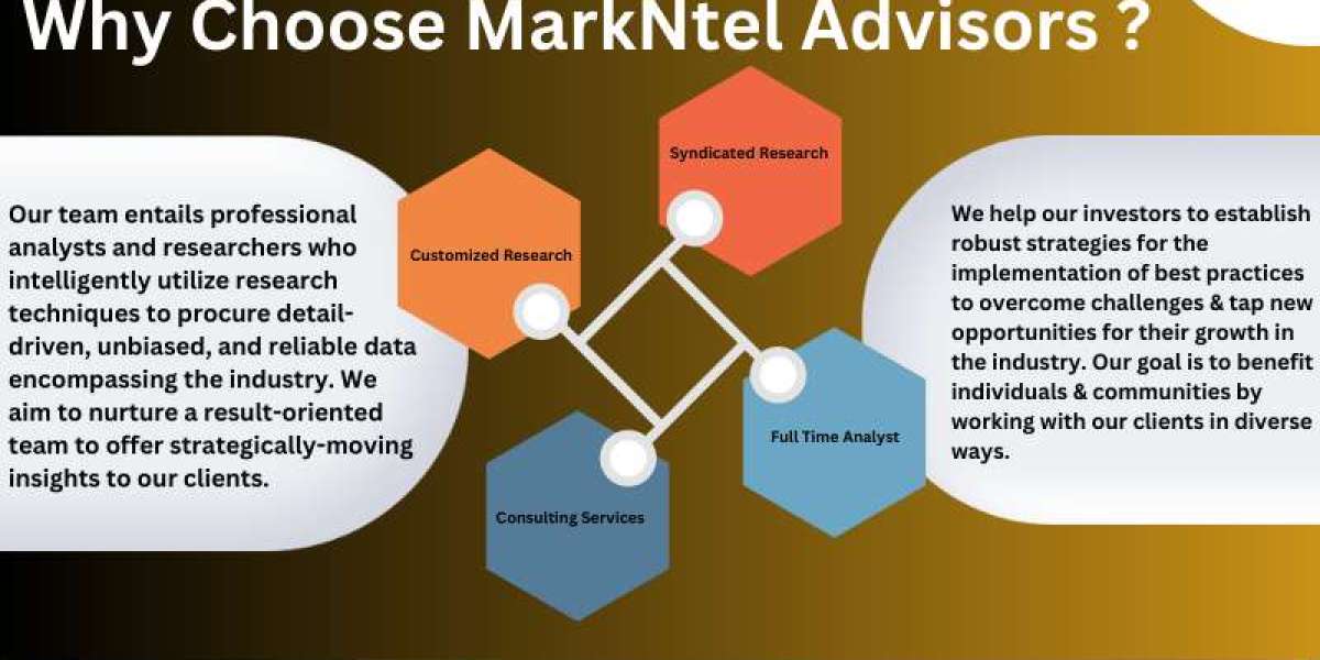 Colombia Tire Market Trends and Growth Drivers Analysis 2030