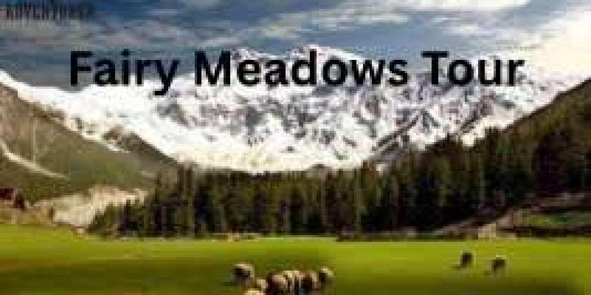 Tour Package for Fairy Meadows – Your Dream Adventure Awaits