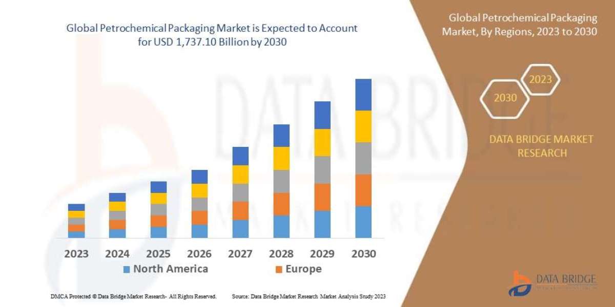 Petrochemical Packaging Market Overview, Growth Analysis, Trends and Forecast By 2030