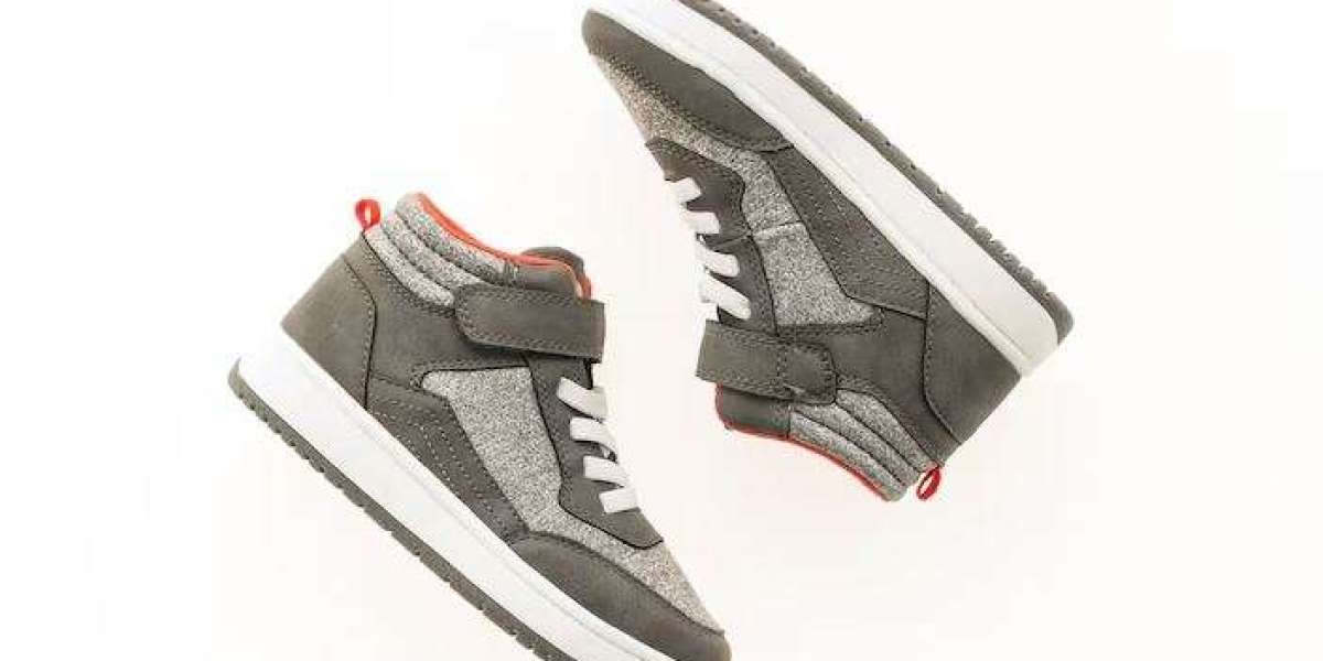 India Sneaker Market Trends, Growth & Demand Forecast 2025-2033