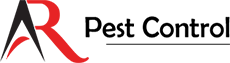 Ants Pest Control Mississauga | AR Pest Control