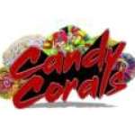 Candy Corals Profile Picture