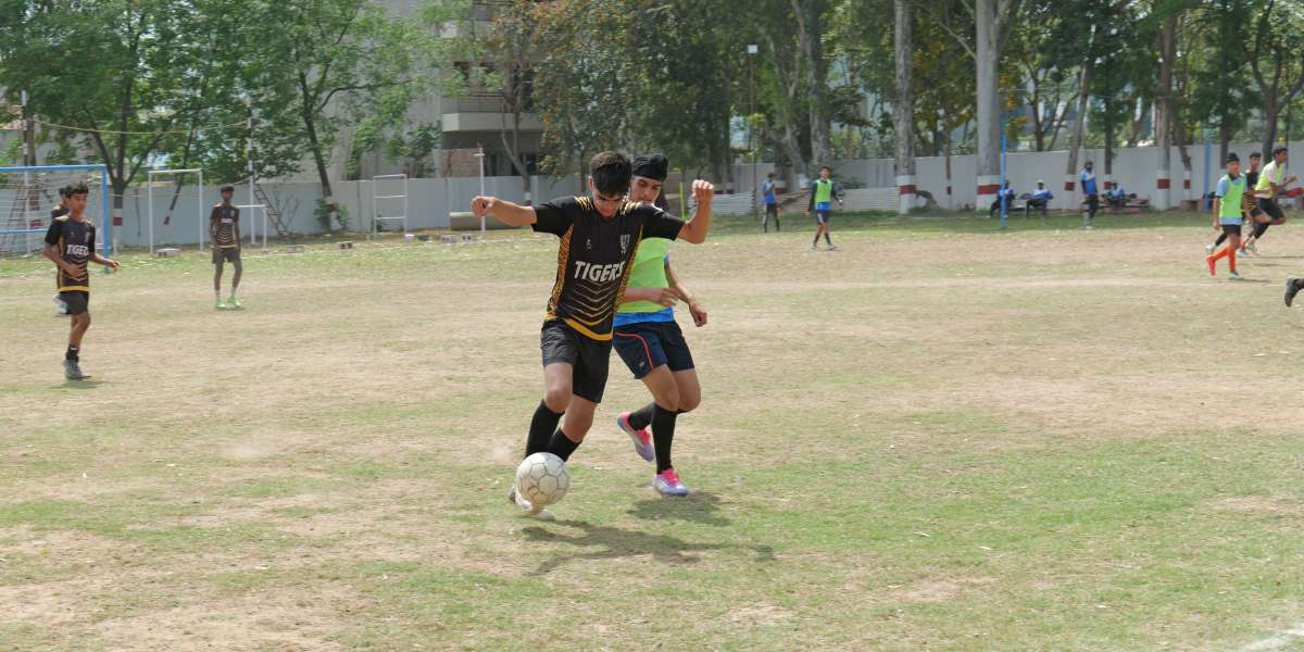 Article Picture
