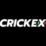 Crickex9 game Profile Picture