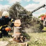 Terre Haute Tree Pros Profile Picture