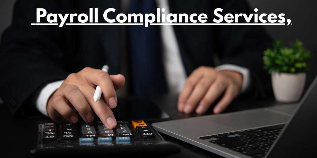 Why Payroll Compliance Services Are Essential for Business Success