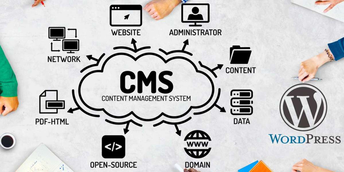 Common Mistakes to Avoid in Professional CMS setup