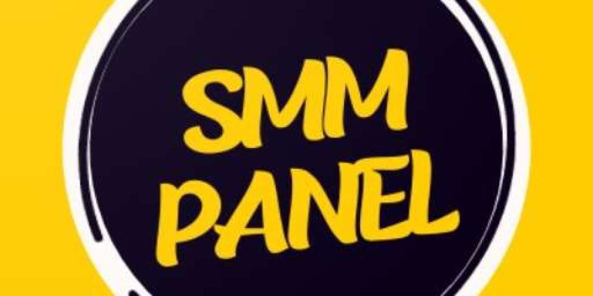 Pak Main SMM – Trusted Panel for Indian Marketers