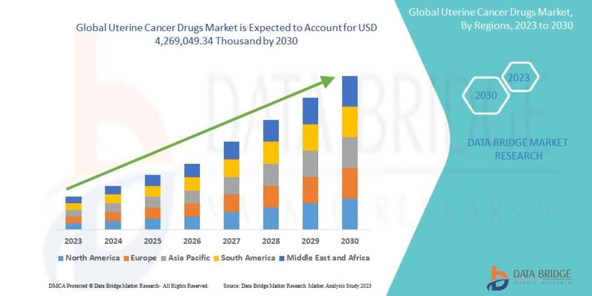 Uterine Cancer Drugs Market Overview, Growth Analysis, Trends and Forecast By 2030
