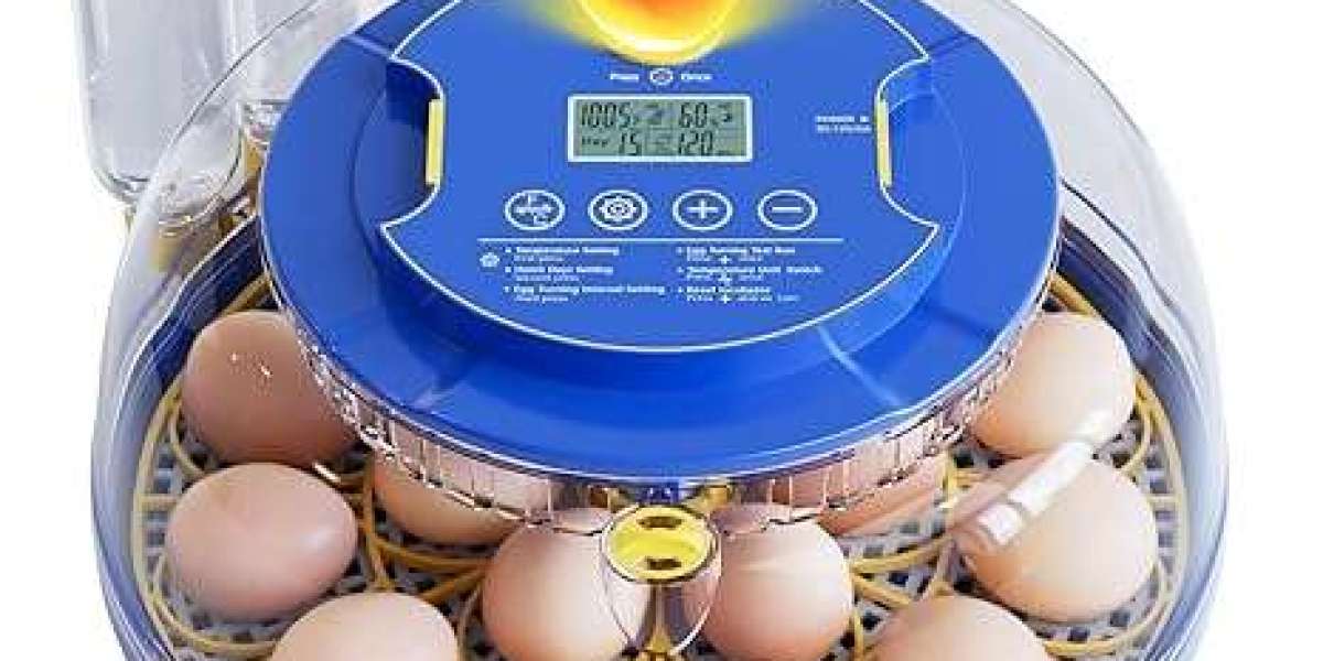 Hatching Made Simple: Elevate Your Poultry Game with the Right Chicken Egg Incubator
