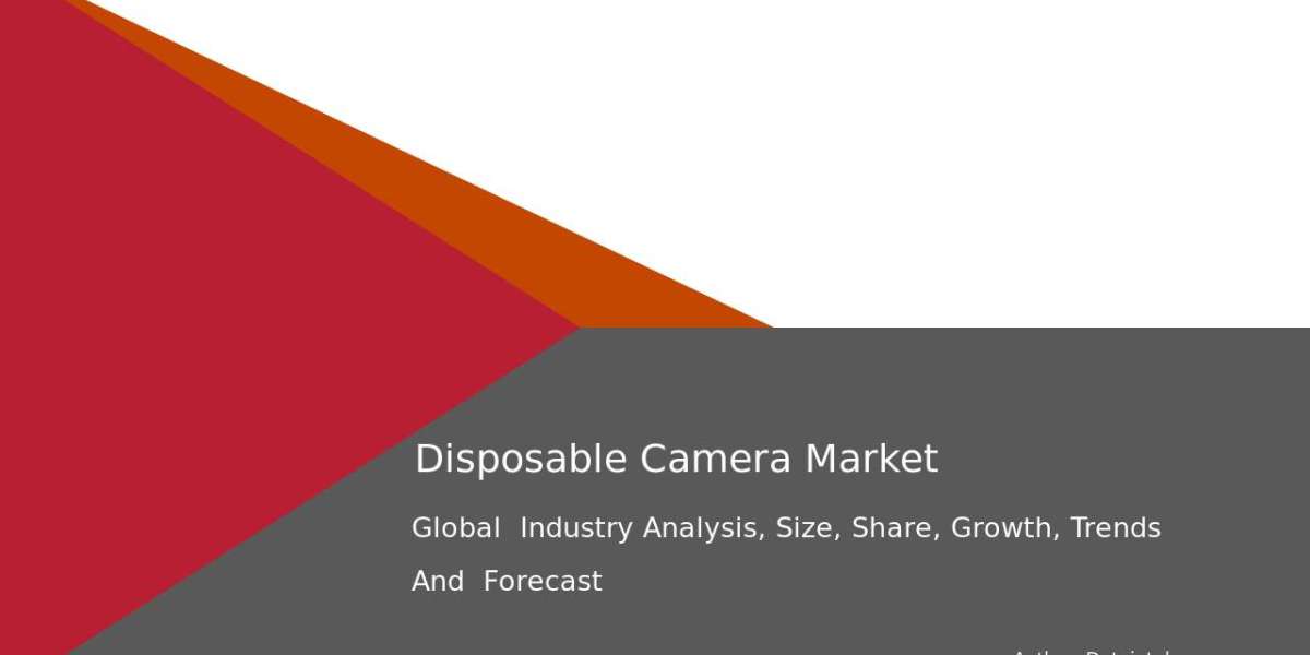 Disposable Camera Market Segmentation by Geography – 2032