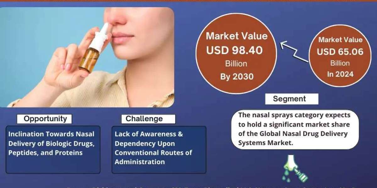 Nasal Drug Delivery Systems Market Strategic Insights into Key Players 2024 to 2030
