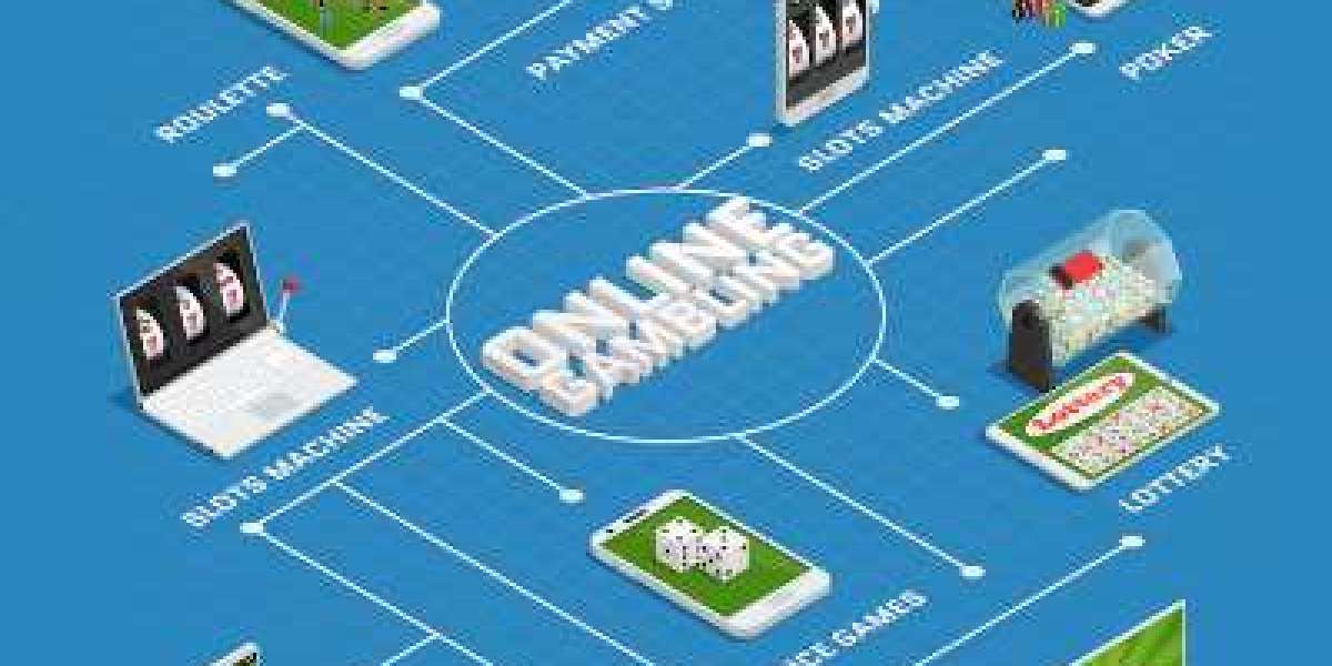 Enhancing User Experience Through Advanced Sports Book Software