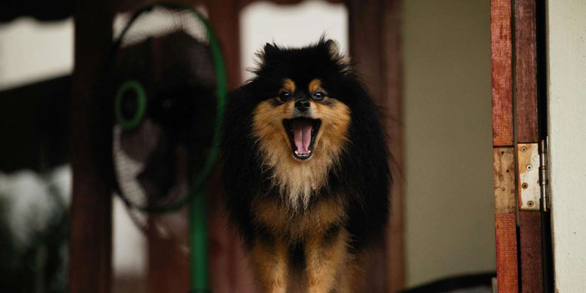 How to Stop Dog Barking: Effective Tips That Work