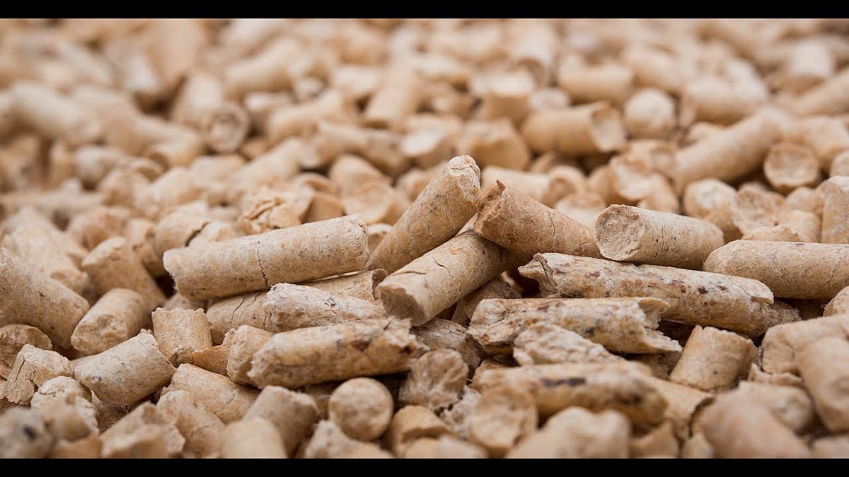 Switch to Biomass Fuel Briquettes for Cleaner Air and Heat | by ECOSTAN Biofuel Pvt Ltd | May, 2025 | Medium
