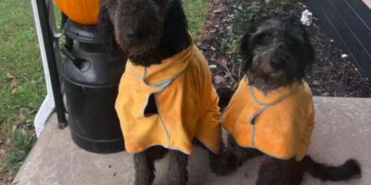 Hands-Free Pet Drying: The Convenient & Cozy Drying Robe Solution