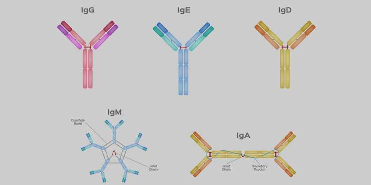 New Treatment Modalities Propel the Immunoglobulin Market to New Heights