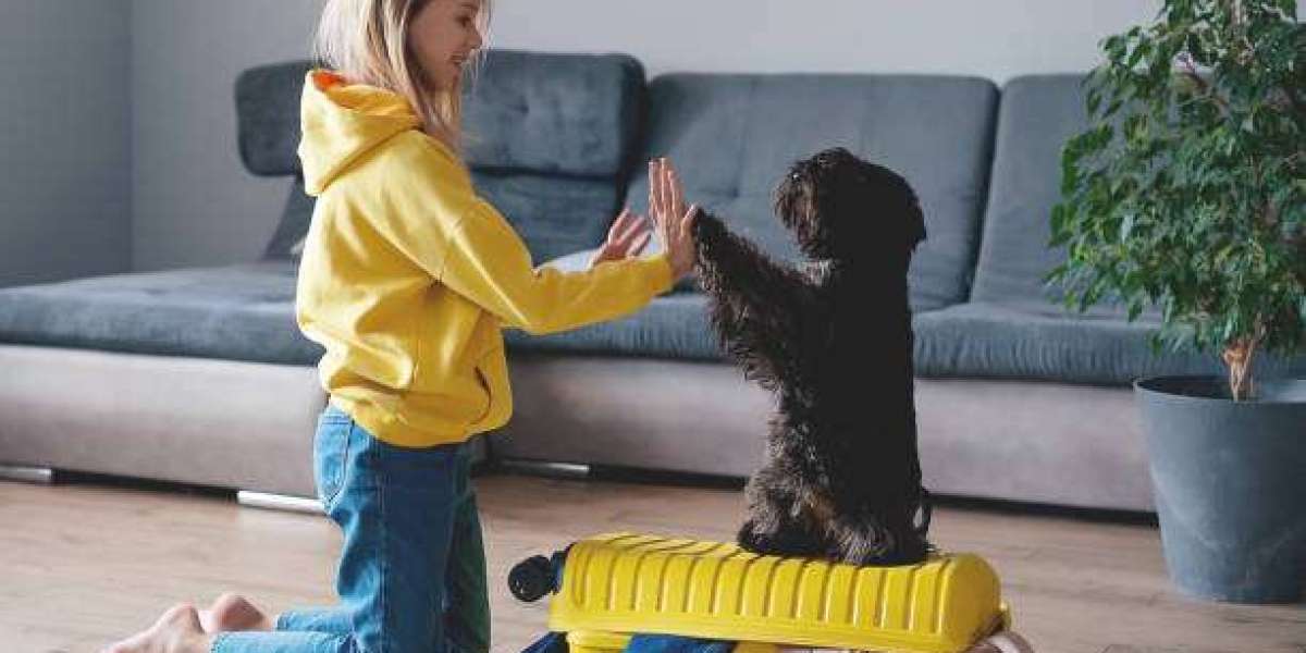 A Complete Guide to Using a Flight Nanny for Safe Pet Travel